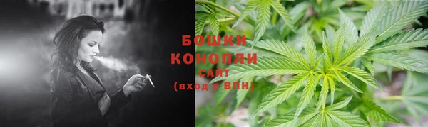индика Арсеньев