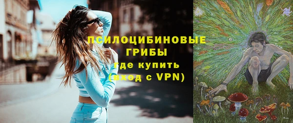 ешки Алексин