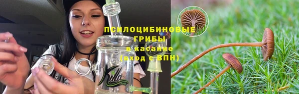 ешки Алексин