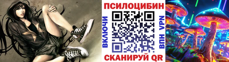 Псилоцибиновые грибы Psilocybine cubensis  наркошоп  Куйбышев 